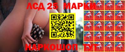 дмт Старая Купавна